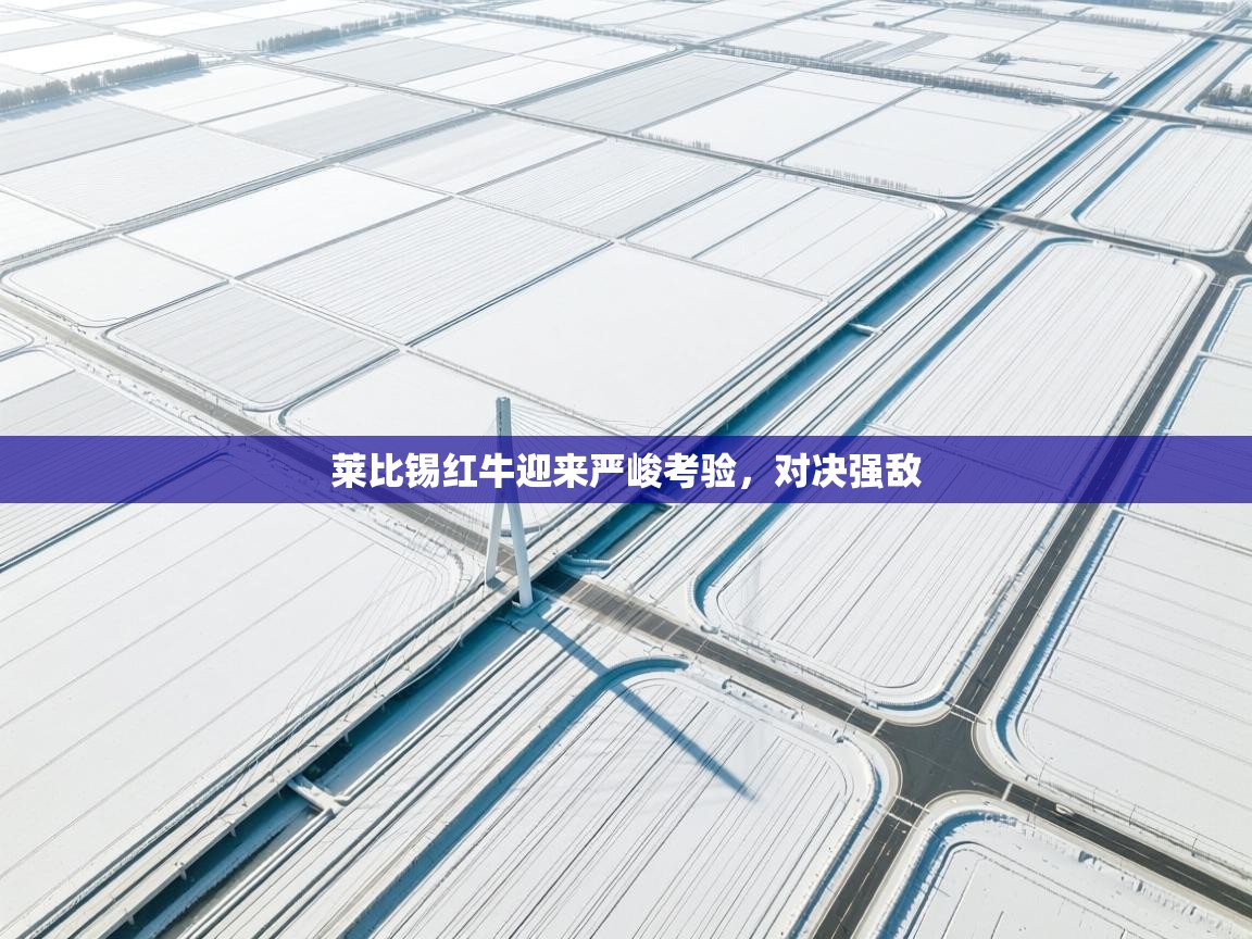 莱比锡红牛迎来严峻考验，对决强敌  第1张