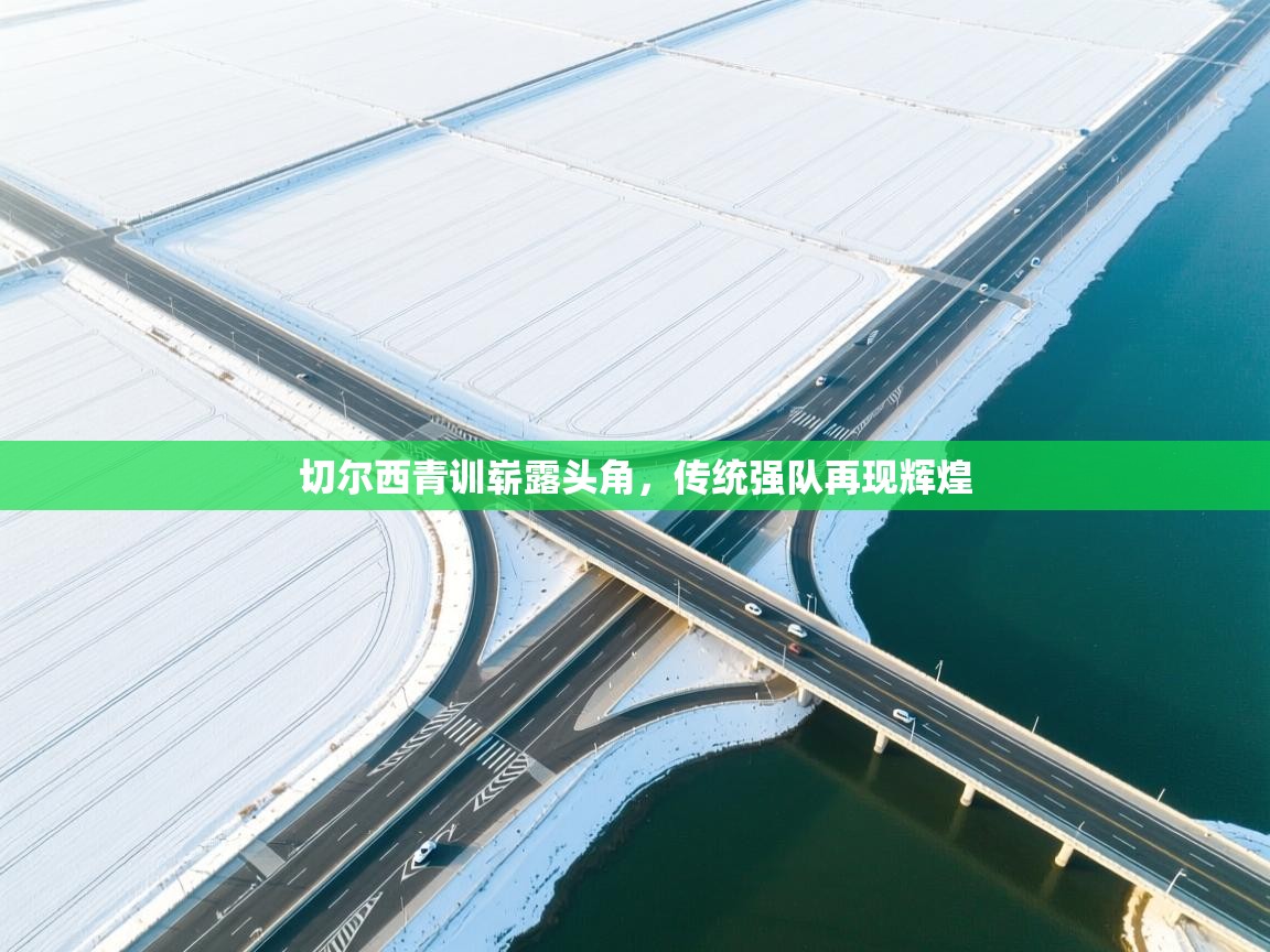 切尔西青训崭露头角，传统强队再现辉煌  第2张