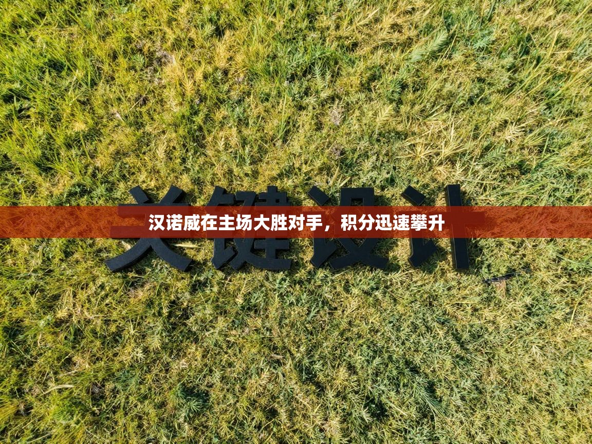 汉诺威在主场大胜对手，积分迅速攀升  第2张