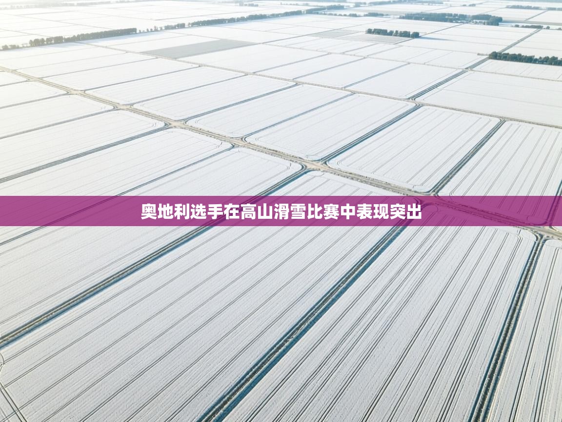 奥地利选手在高山滑雪比赛中表现突出 第1张